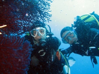  Viagem de mergulho no mar em St Mandrier